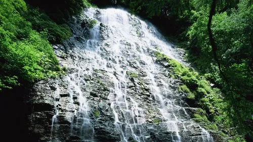 信息化创意